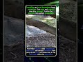 This Mud Is Actually A Hidden Crocodile