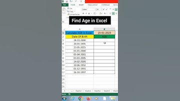 How to Calculate Age in Excel | How to Find #msexcel #foryou #tricks #trending #shorts #support