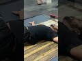 Oblique #shorts #shortvideo #short #shortsvideo #shortsfeed #fitness #trending #sports #fit #like