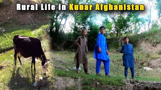 Village and rural life of Kunar Afghanistan |  Kunar River | Simple Life HD