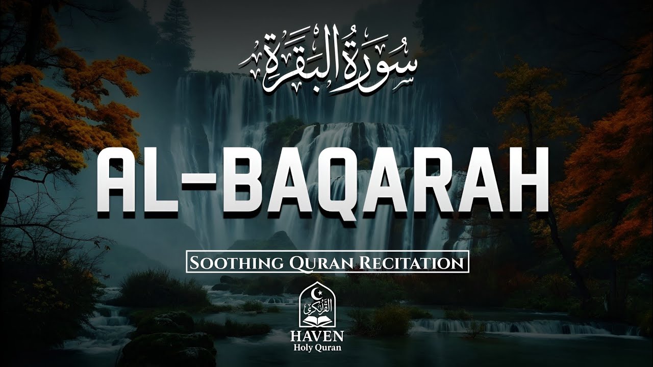 Surah Al-Baqarah (سورة البقرة) | Calming Recitation for Healing Hearts & Divine Barakah , Peace 