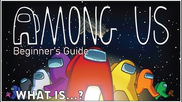 What is Among Us? (Beginner