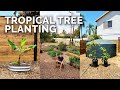 Planting Tropical Trees in the Epic Orchard!