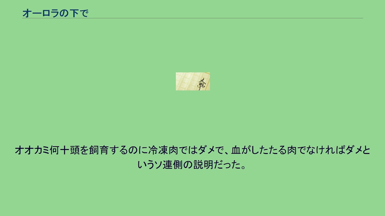 オーロラの下で Youtube