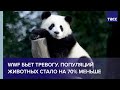 WWF бьет тревогу. Популяций животных стало на 70% меньше