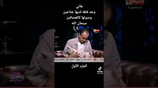 سبحان الله قطه لديها جناحين وصوتها صوت عصفور ️