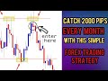 Catch 2000 pips every month with this Simple Forex Strategy | Best Pure Price Action Strategy