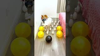 Challenge viral video #funny #funnyvideo