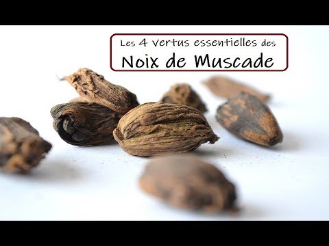 Vidéo: Noix De Muscade : Composition Et Propriétés De L'huile Essentielle
