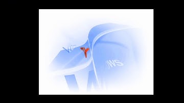 How to Install an OS on a VM | Lesson 1.3