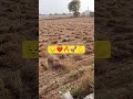 😔❤️🔥🚀💪 #viral #shortvideos #ytshortsindia #