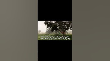 #عبدالباسط_عبدالصمد #سورة_يوسف #تەفسیرا_بادینی