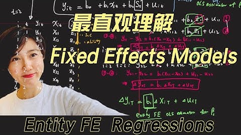 Econometrics ｜Entity Fixed Effects Models - t =2