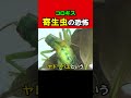 寄生虫に腹を食い破られる恐怖 #Shorts