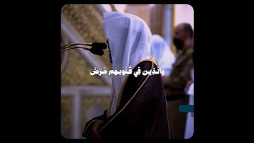 ثم لا يجاورونك فيها إلا قليلا..| تلاوة حجازية بديعة! ~ للشيخ أحمد الحذيفي من سورة الأحزاب ♥️!