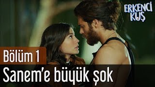 Erkenci Kuş 1 Bölüm - Saneme Büyük Şok