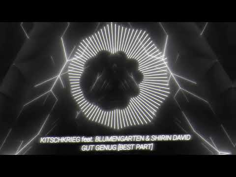 KITSCHKRIEG feat. BLUMENGARTEN & SHIRIN DAVID - GUT GENUG [Best Part Only] | 🎶🔥| Visualizer