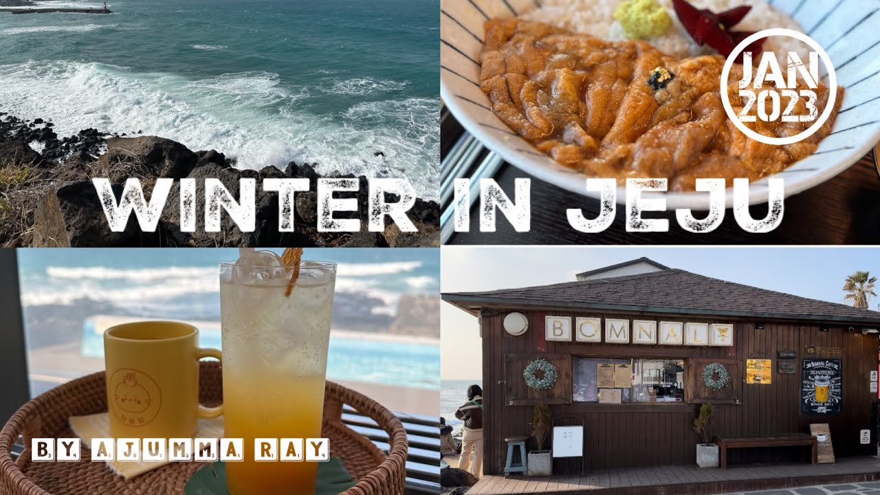 WINTER IN JEJU ISLAND - A very windy day | Rich Hotel | Sea Urchins | Aewol Cafes