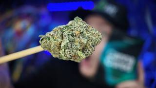 Canna Cured Monster Cookies Review