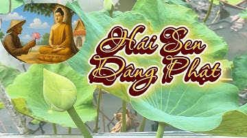 Hái Sen dâng Phật