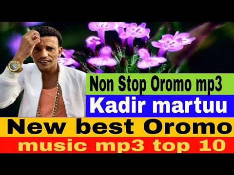 Kadir Martuu Simale New Best Oromo Music Non Stop Oromo Music top 10 SimaleStudio  Kadirmartuu