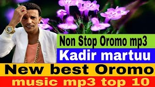 Kadir Martuu Simale New Best Oromo Music Non Stop Oromo Music top 10 @SimaleStudio #Kadirmartuu