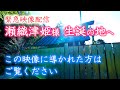 龍神最高神 瀬織津姫様 メッセージが降りてきて緊急配信です