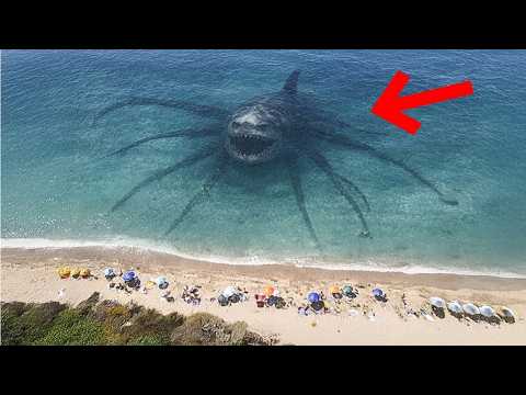 ¡Increíble Hallazgo! El Reptil Marino Gigante que Cambia Todo