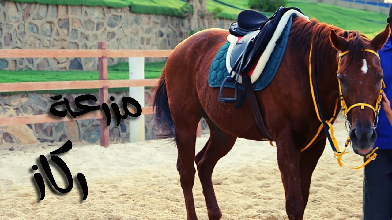 مزرعة ركاز _ رحلة مركز الوقار لضيافة الأطفال