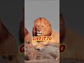 🔥 Give Your Time to Your Purpose | Powerful Motivation#shorts