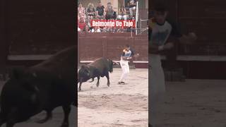 👏SALTA UN TORO A CORTA DISTANCIA...