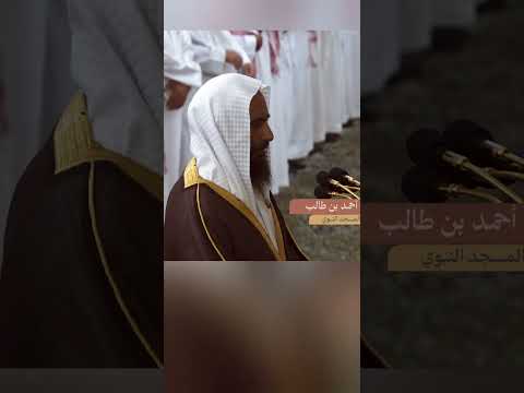 ألم تر كيف ضرب الله مثلا كلمة طيبة كشجرة طيبة أصلها ثابت وفرعها في السماء إبراهيم ٢٣ ٢٥
