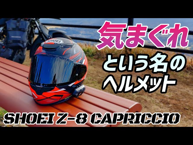 カブキ YAMASHITA（ヤマシタ） エギ王SEARCH(サーチ) 3.5号 084 カブキ
