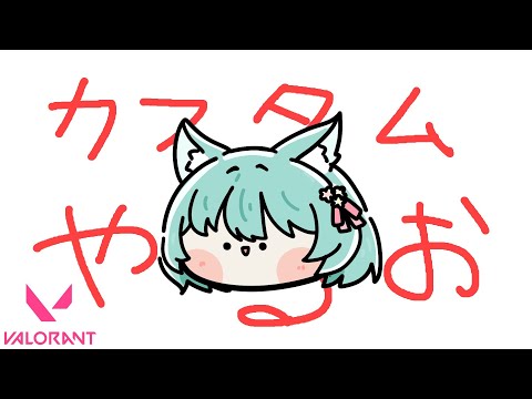 【VALORANT】ヴァロカスタムきちゃあああ　w/めーや/バケゆか/まお/なな湖/ねろちゃん/バブルケーキ/はたさこ/猫月みお/ふじみや【御巫れいん/個人Vtuber】