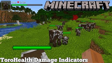 TOROHEALTH DAMAGE INDICATORS MOD UPDATE - MINECRAFT 1.18 (MOD SHOWCASE)