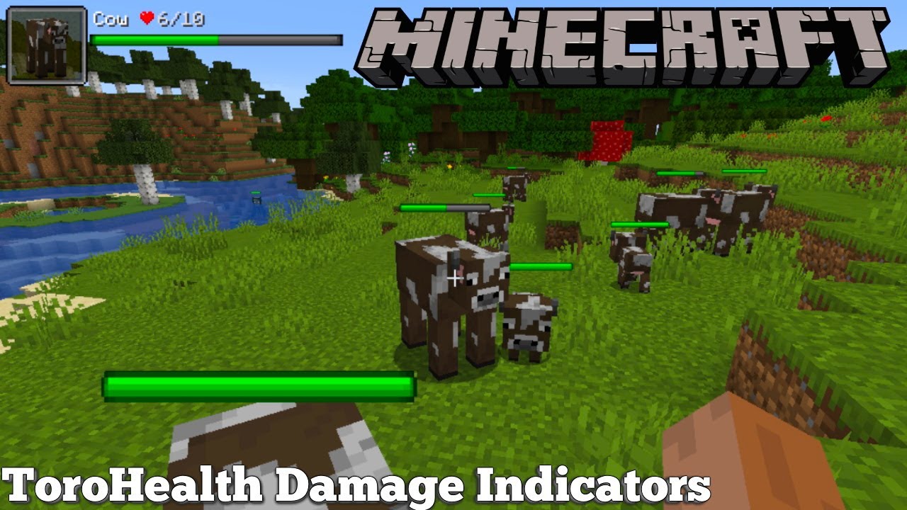 Torohealth 1.16 5. Dbylbrfnjh vfqy. TOROHEALTH мод на майнкрафт. Damage indicators Mod 1.16.5. Торохеал дамаг индикатор мод.