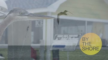 VIC3001 - Module 3 Slideshow