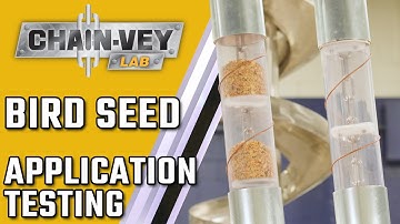 Bird Seed Through Chain-Vey