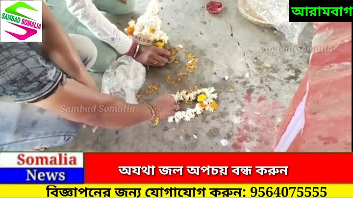 EXCLUSIVE: বৃষ্টি নামাতে এবার বরুণদেবকে তুষ্ট করতে ব্যাঙের বিয়ে, হাজির বরযাত্রী কনেযাত্রী