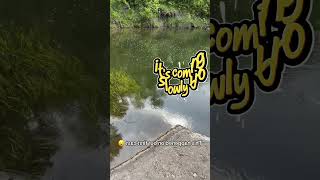 1St Cast...monster Fish