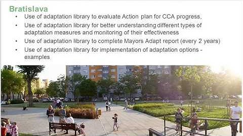 RESIN Tier 2 webinar on the Adaptation Options Library