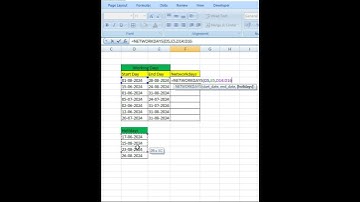 Networkdays in Working Days #excel#shortsvideo #shorts