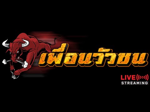 #ถ่ายทอดสดวัวชน สนามกีฬาชนโคบ้านบ่อล้อ วันที่ 5 มี.ค. 67 #วัวชน #วัวชนวันนี้ #ถ่ายทอดสดวัวชน