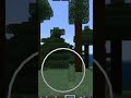 #Minecraft but camera mod #india #video