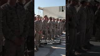 Celebrity Sec. Hegseth to allow SERVICE MEMBERS to carry PERSONAL FIREARMS Wealth