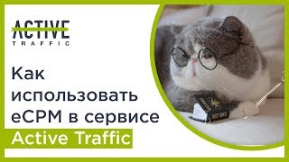 Как использовать eCPM в сервисе Active Traffic