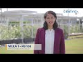Dirección de proyección institucional - Universidad Científica del Sur