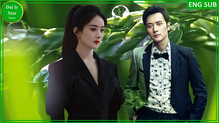 Why does Zhao Liying no longer fight for custody? : The Shocking Remarriage of Zhao Liying and Feng - DayDayNews