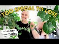 The Houseplants I’ll Keep Forever 🪴🥰 (and Why)