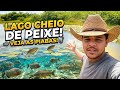 ACHAMOS O LAGO DAS PIABAS!" (Direto ao ponto)